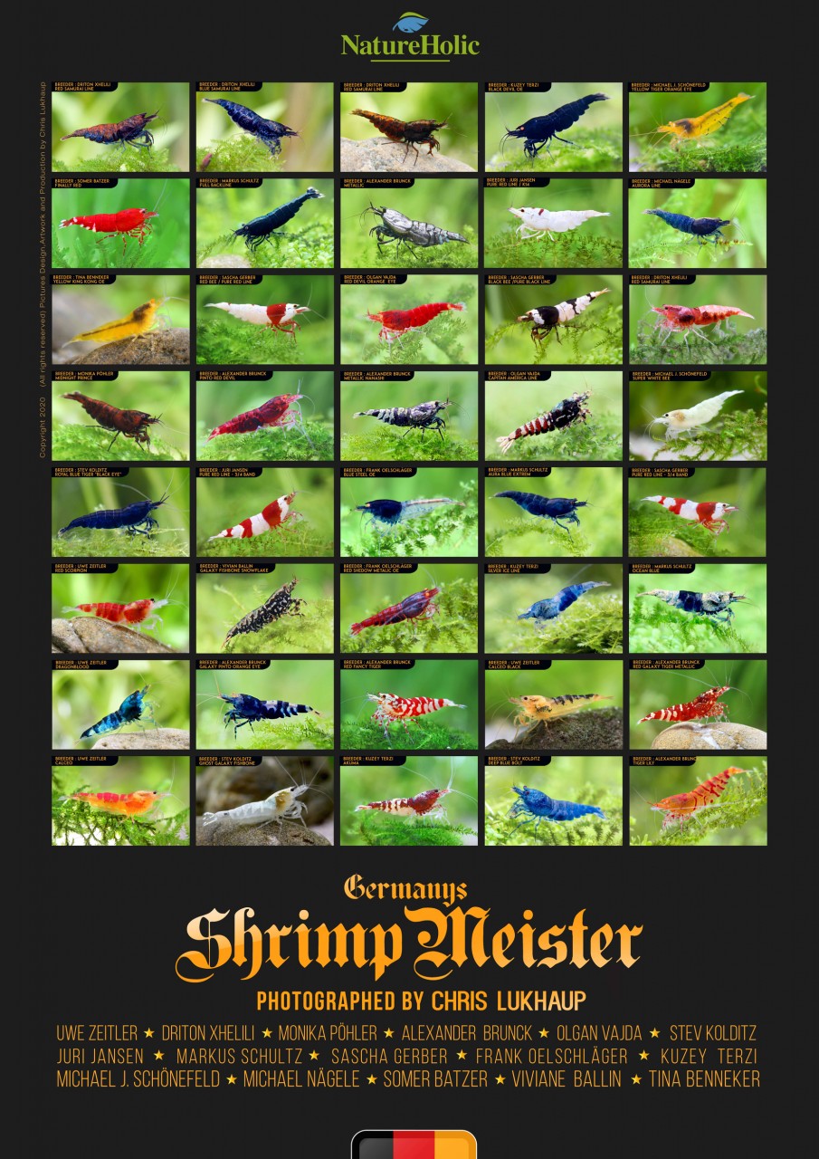 Germanys Shrimp Meister - Poster by Chris Lukhaup