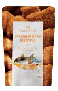 NatureHolic - Pumpkin Cinnamon Bites - 30g